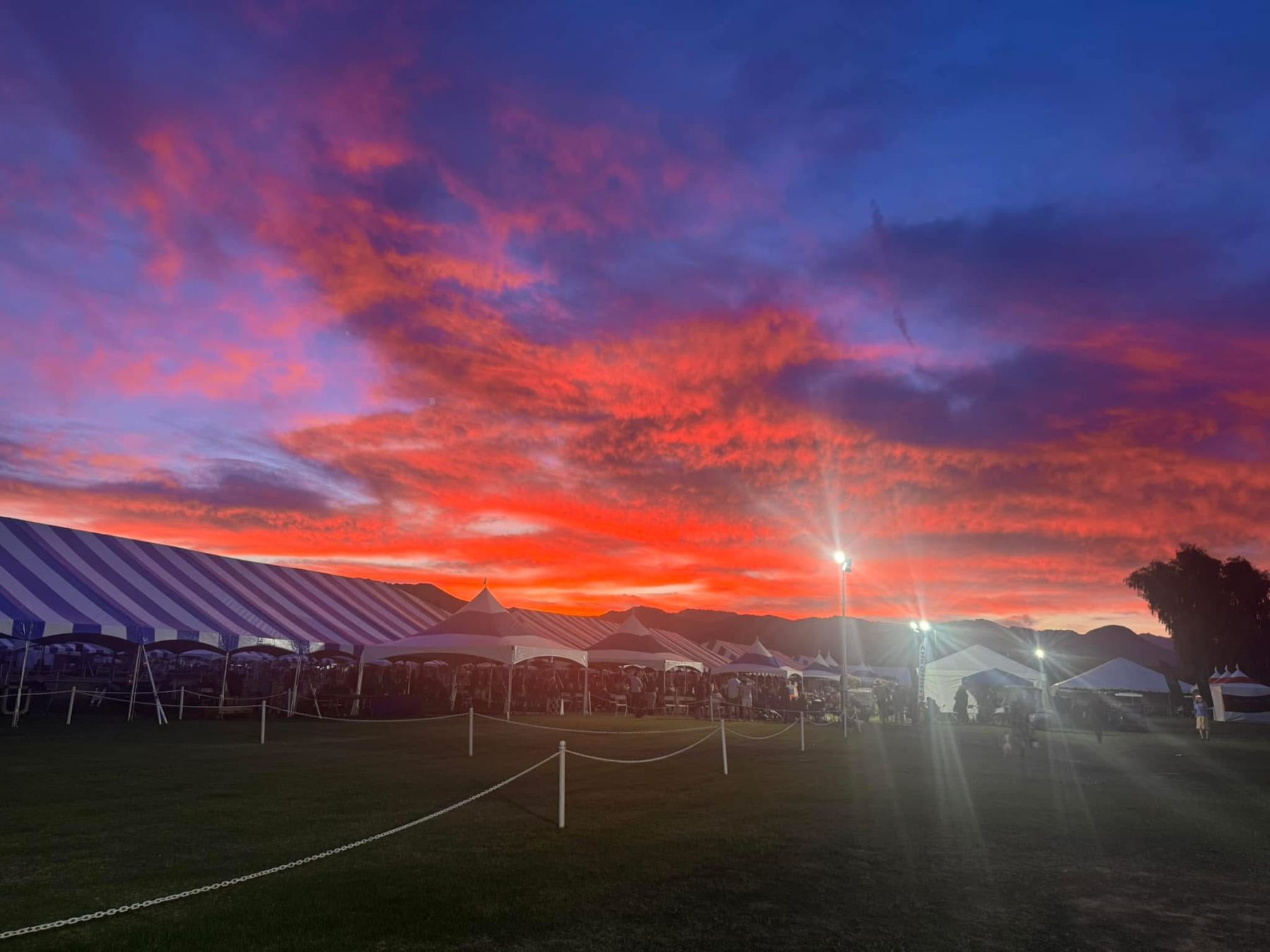 2025 Kennel Club of Palm Springs